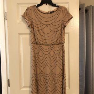 Adrianna Papell evening/bridesmaids dress